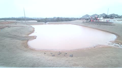 The Pond