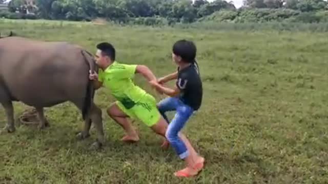 Hot vietnam