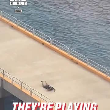 Pretending to miss the cruise ship 😂