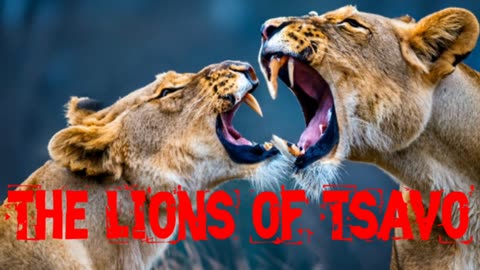 The Lions of Tsavo