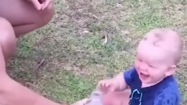 Funny Baby Videos playing