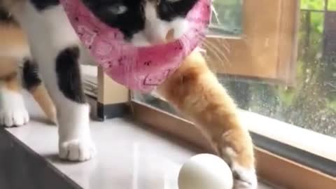 She didn't know the ball was stuck 🤣🤣🤣