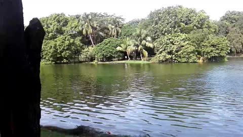 Tasik Shah Alam (Lake's Shah Alam