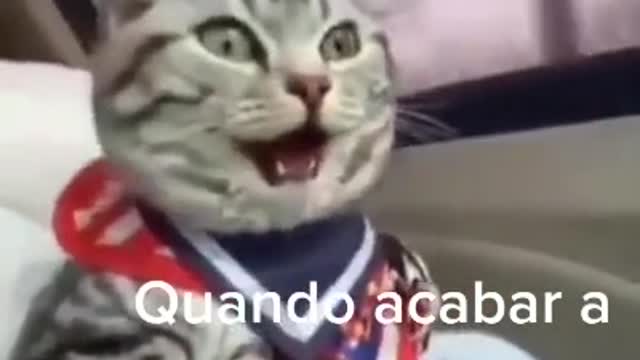 Pós quarentena
