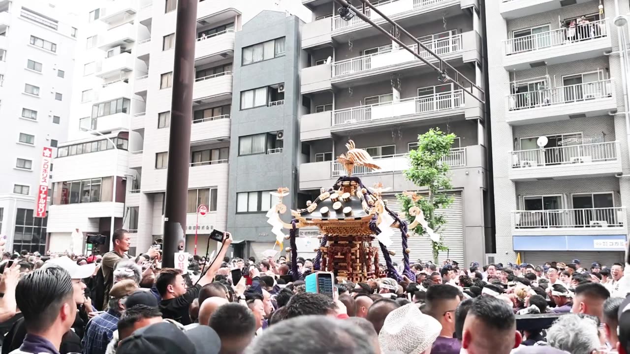 Japan festival,Tokyo Asakusa Sanja Festival 01