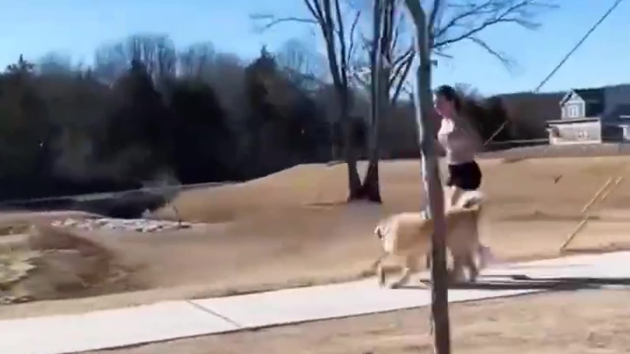 Funny Fails Compilation - Part 6 #fail #funny #epicfails #instantregret #compilation #fails