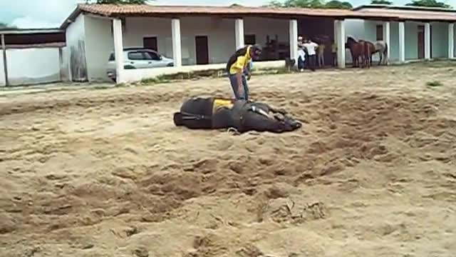 Demostração de Doma no Haras Bom Pasto (zootecnia 2010.2)