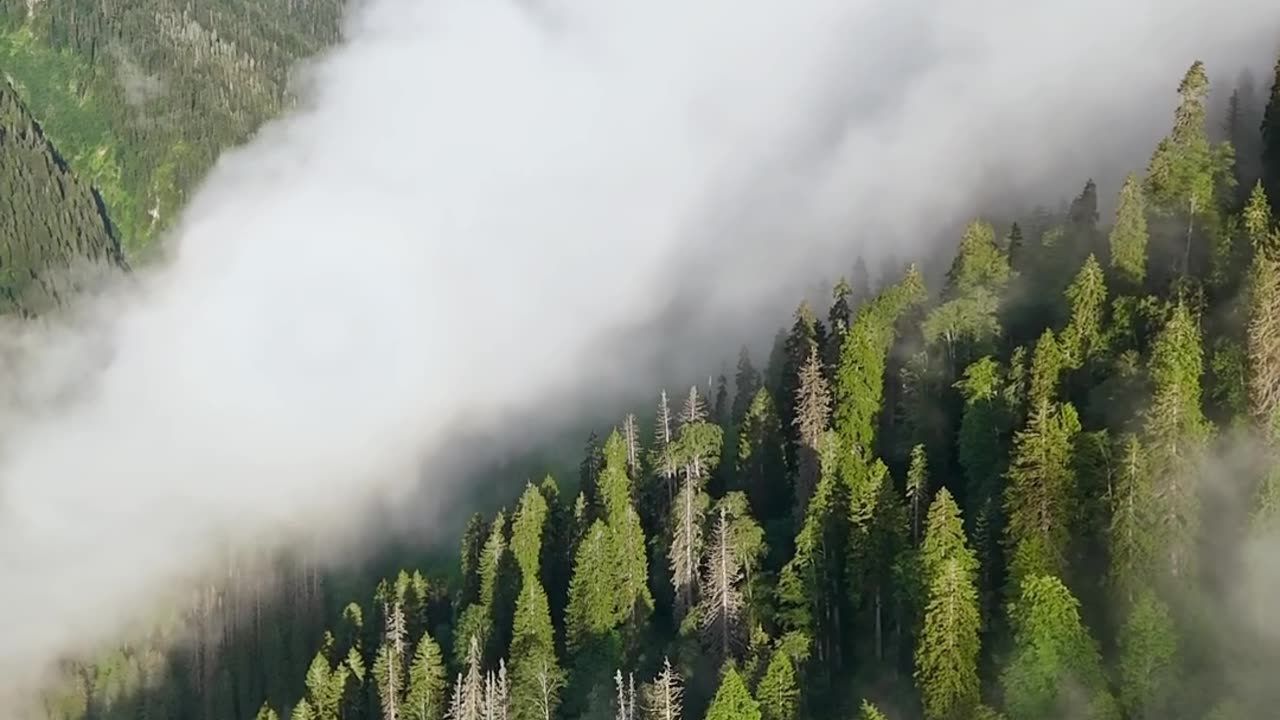 Nature