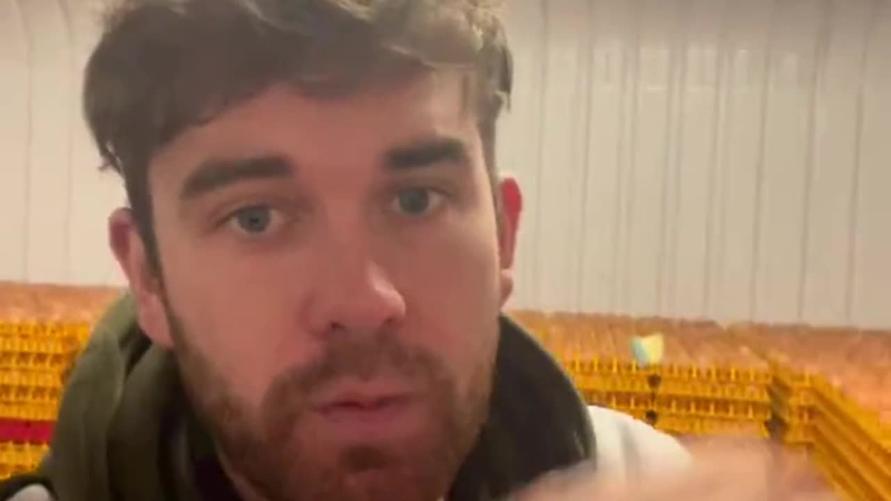 UK - SUPERMARKETS & EGG FIASCO! - Reloaded from Renard