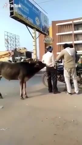 Viral video today shorts 15funny