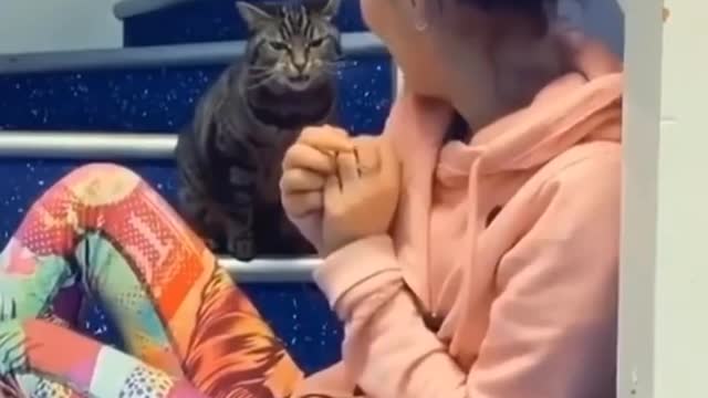 Funniest Cats 😹- Best Of The 2022 Funny Cat Videos 😂