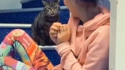 Funniest Cats 😹- Best Of The 2022 Funny Cat Videos 😂