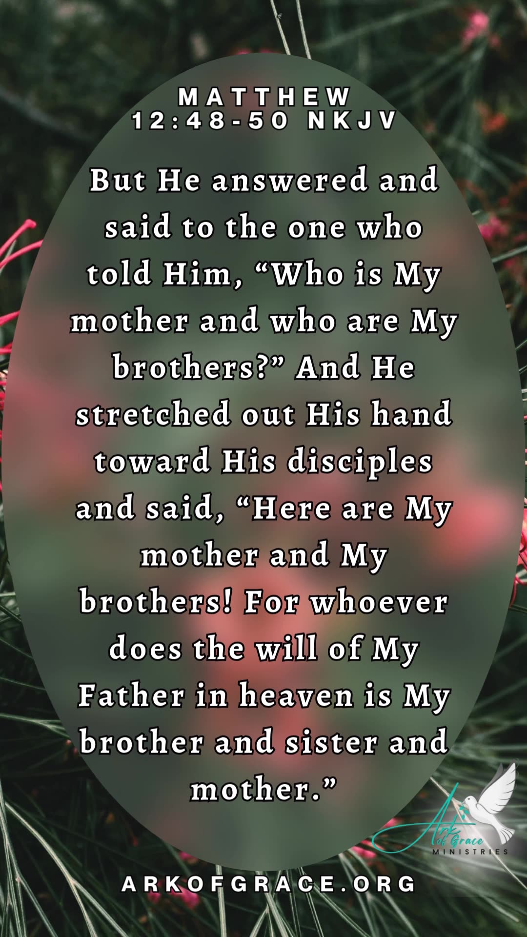 Matthew 12 48 50 NKJV matthew-12-48-50-nkjv