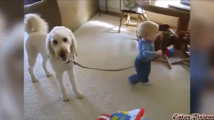 lindo bebe paseando a su perro