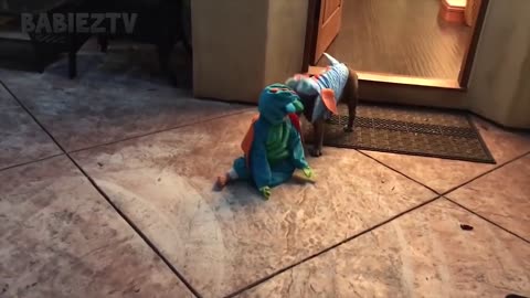 Adorable Babies Playing With Dogs and Cats - Funny Babies Compilation 2020