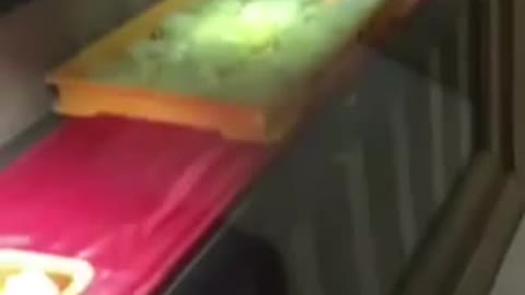 the real rattatoulie in indonesian restaurant