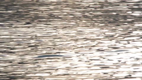 Ripples - The Power of Small Acts