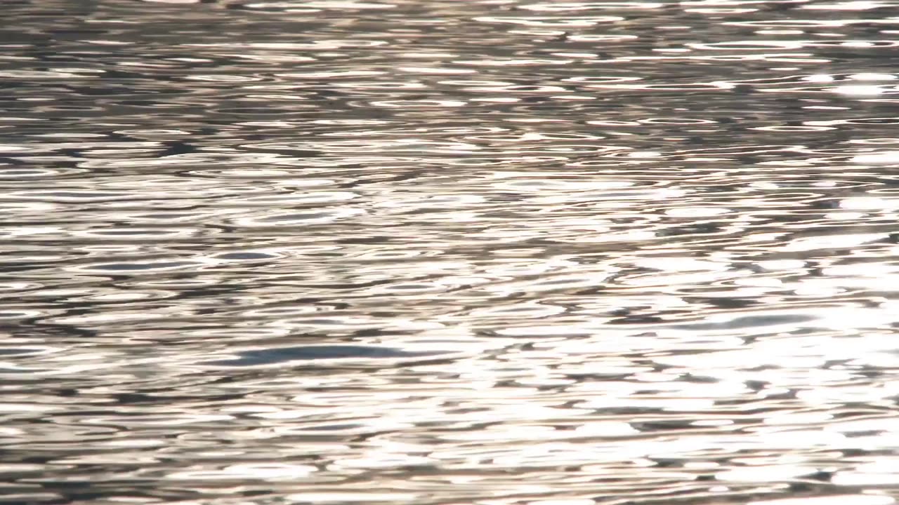 Ripples - The Power of Small Acts