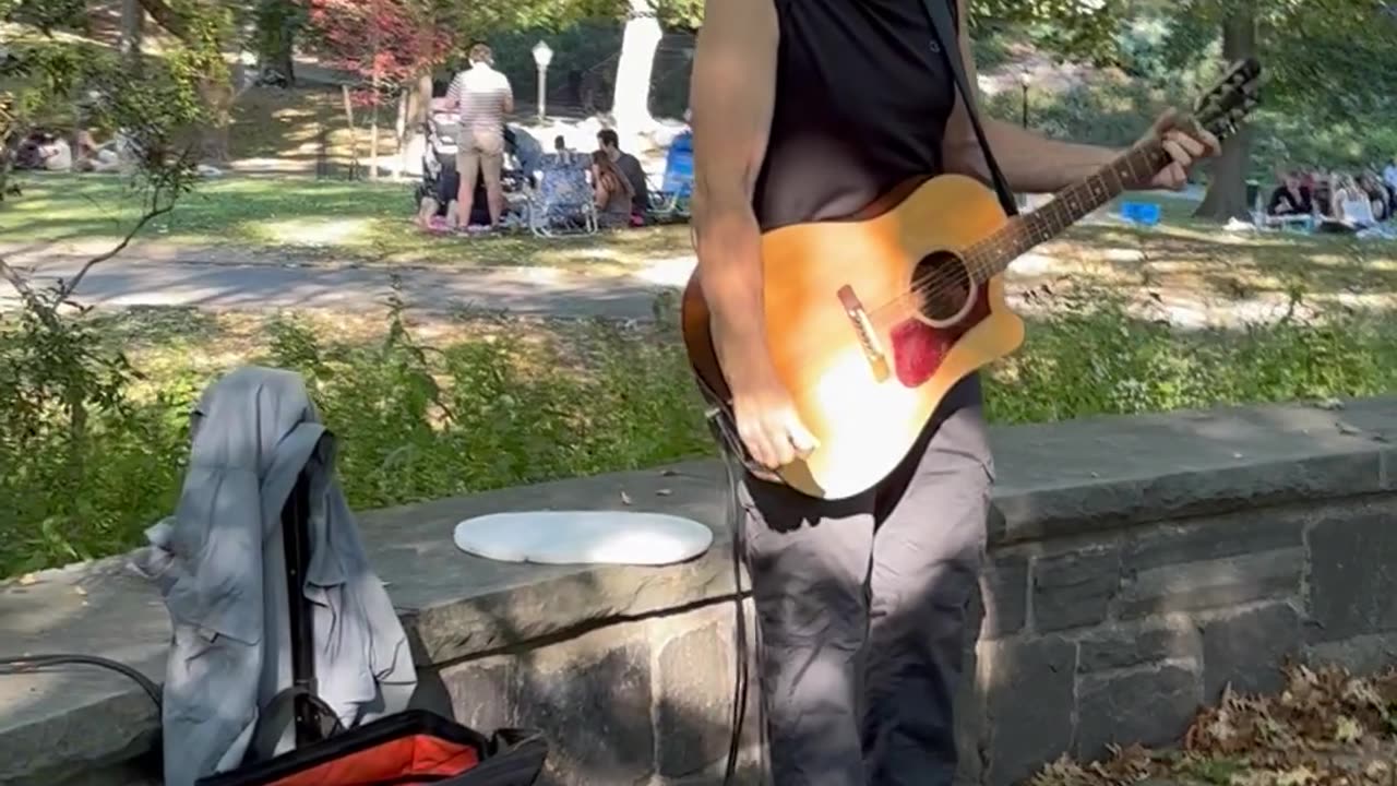 About A Girl - Nirvana Cover - Central Park NYC - Turtle Pond