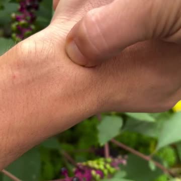 MTC (Medicina Tradizionale Cinese) - Problemi al polso