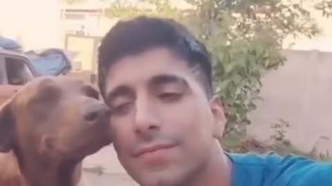 Dog with Boy Love feeling funny video