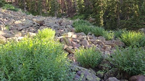 Creek underneath the rocks