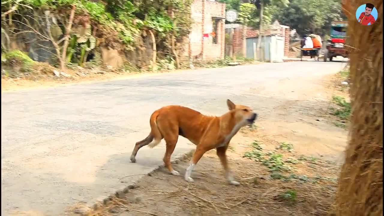 1 minute 9 second video