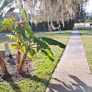 So much good news with the Mordecai and Esther Foundation. 12/2/23