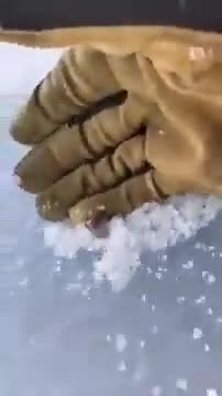 Gun in ice