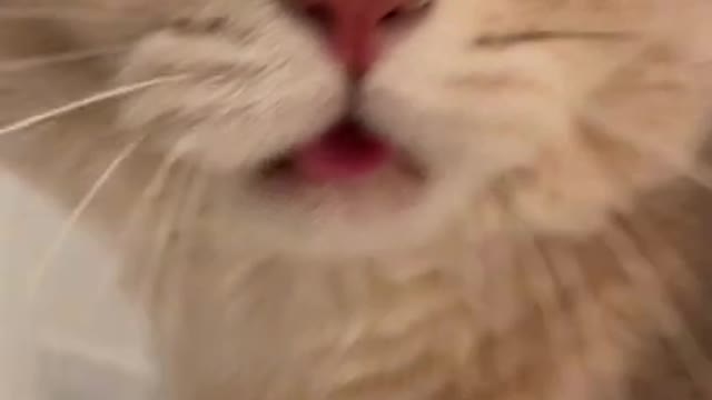 I know all of you are cute and handsome but this is extra ordinary
