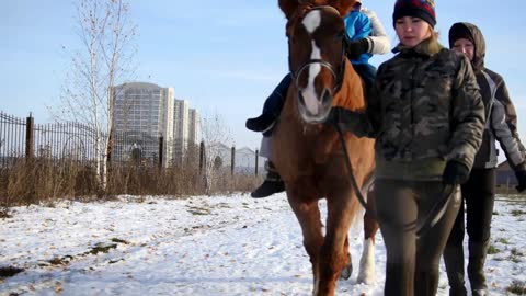 Hippotherapy for kid with cerebral palsy syndrome at winter