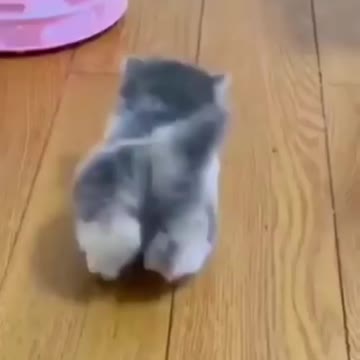 Walking like a champ