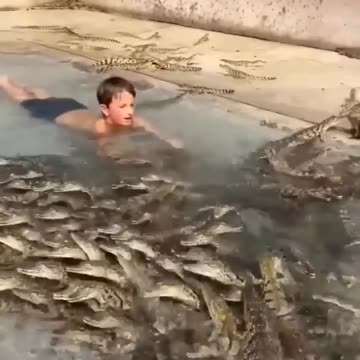 Legendary Kid Swims with Hundreds of Nile Crocodiles