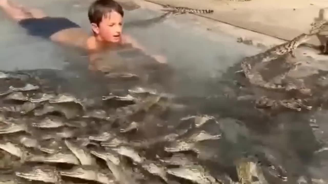 Legendary Kid Swims with Hundreds of Nile Crocodiles