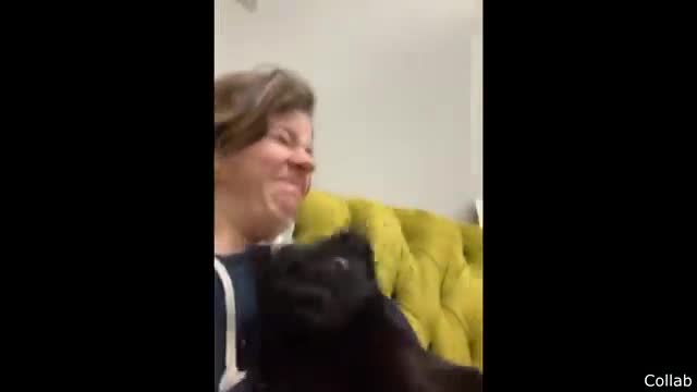 Funny cat sneezing 🤧🤧🤧🤧