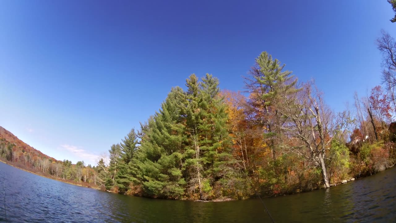 Fall on Miller Pond