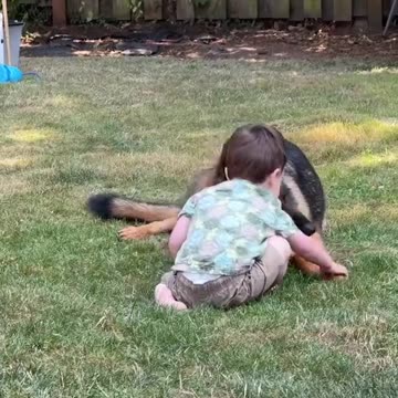 German Shepherds know. They just do. That’s the most protected infant in town…😊