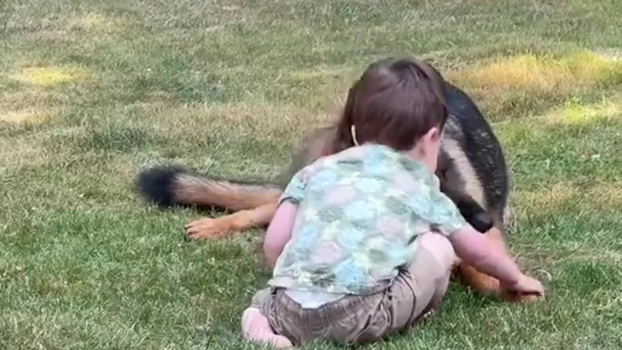 German Shepherds know. They just do. That’s the most protected infant in town…😊
