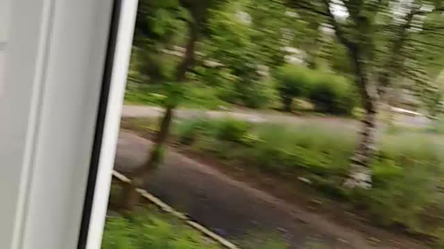 🤣 Funniest 🐶 Dogs and 😻 Cats - Awesome Funny Pet Animals Life Videos 😇