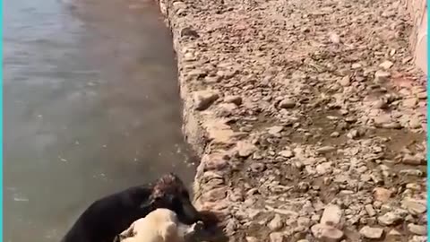 A true friend will always be there for you