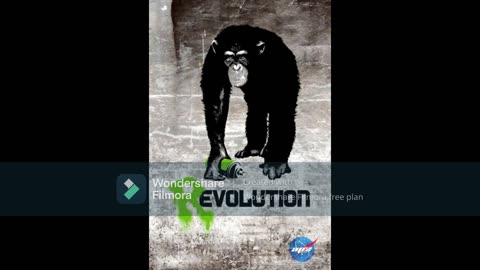 REVOLUTION OF THE APE