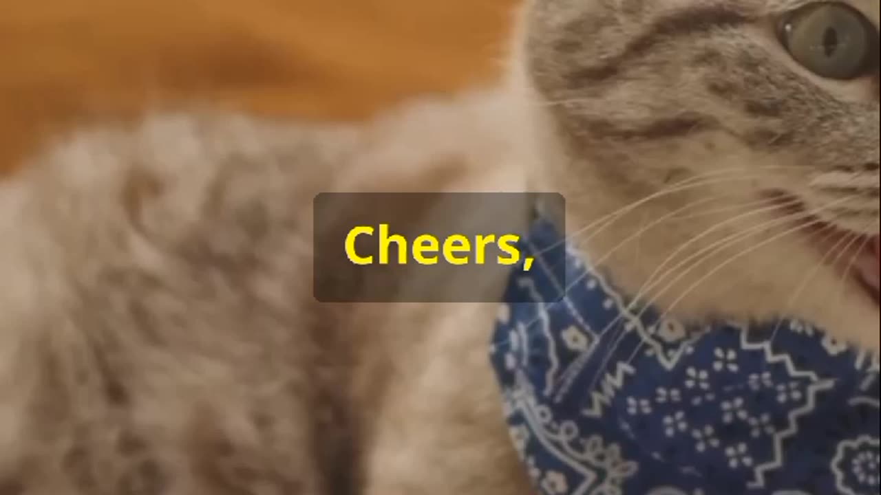 Top 10 Most Expensive Cat Breeds in the World 🐈😻
