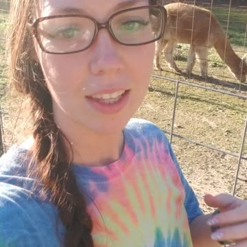 Alpacas are getting sheared next week!