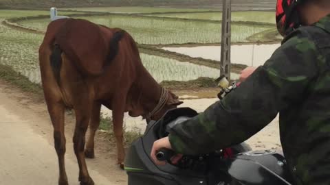 An Unexpected Road Block