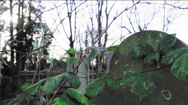 Top 10 4 Highgate Cemetery, London, England Horror stories