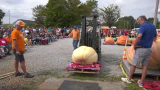 2021 Allardt Great Pumpkin Festival - Weigh Off & Parade