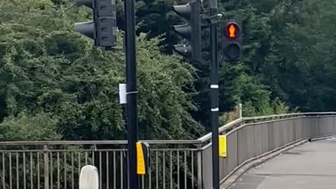 Matt...