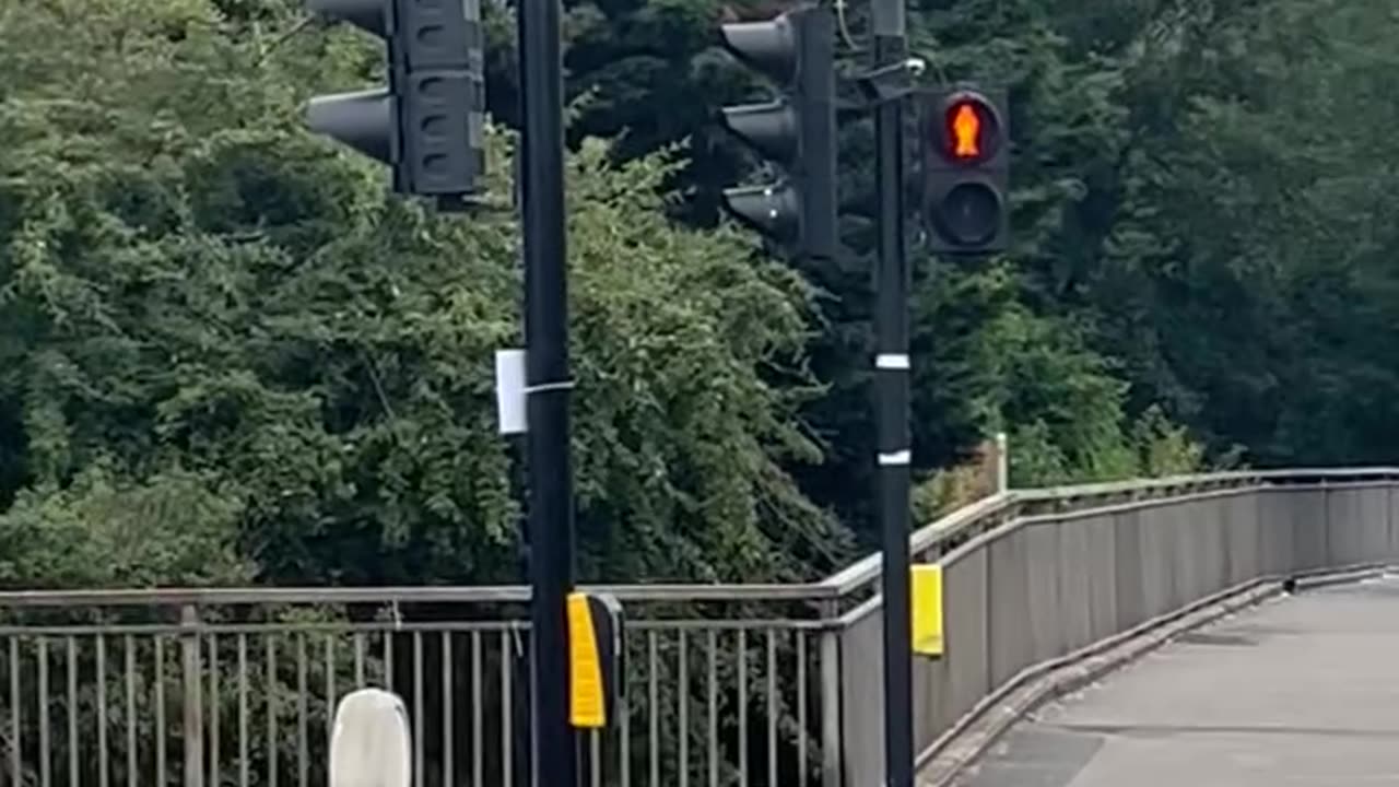 Matt...