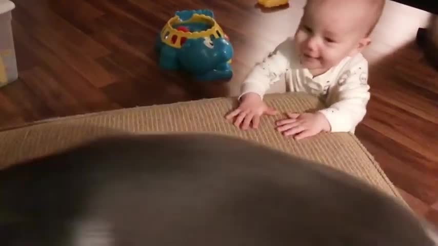 Super Funny Baby Laughing