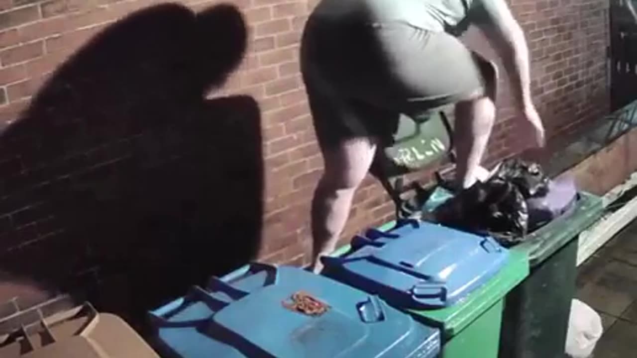 dumpster bin fail